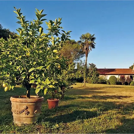 Apartman Fattoria Bigongiari Lucca