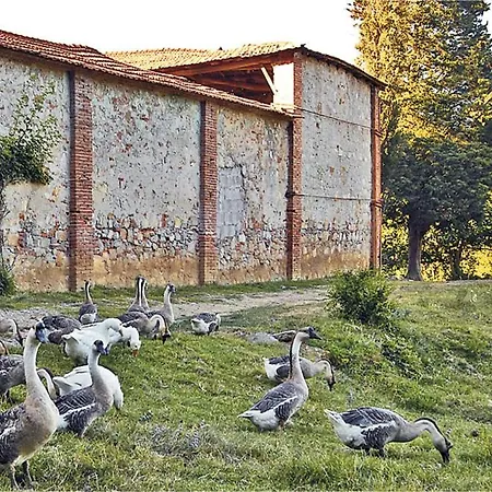 Apartman Fattoria Bigongiari Lucca